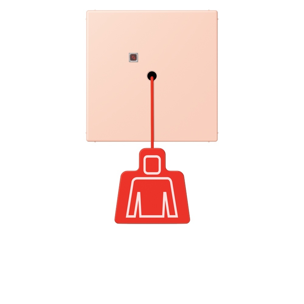 Jung Notrufsystem Zugtaster NRSLC0834ZT234