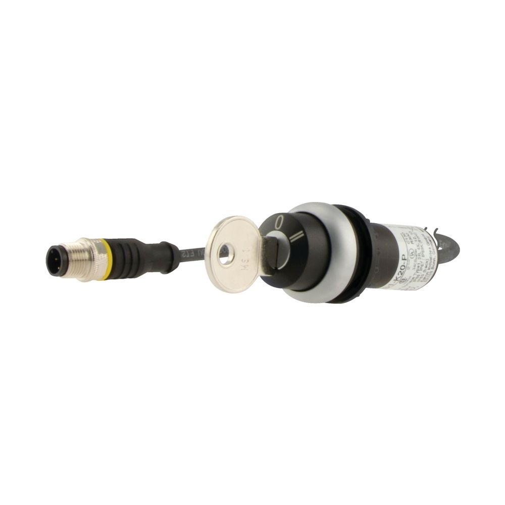 Eaton Schlüsseltaste 186205 Typ C22-WRS3-MS1-K20-P1