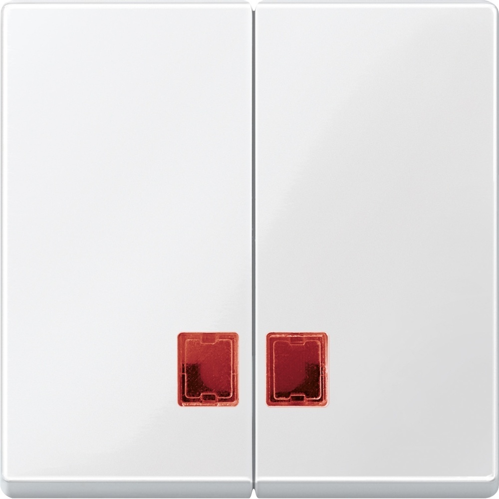Merten Doppelwippe MEG3456-0319