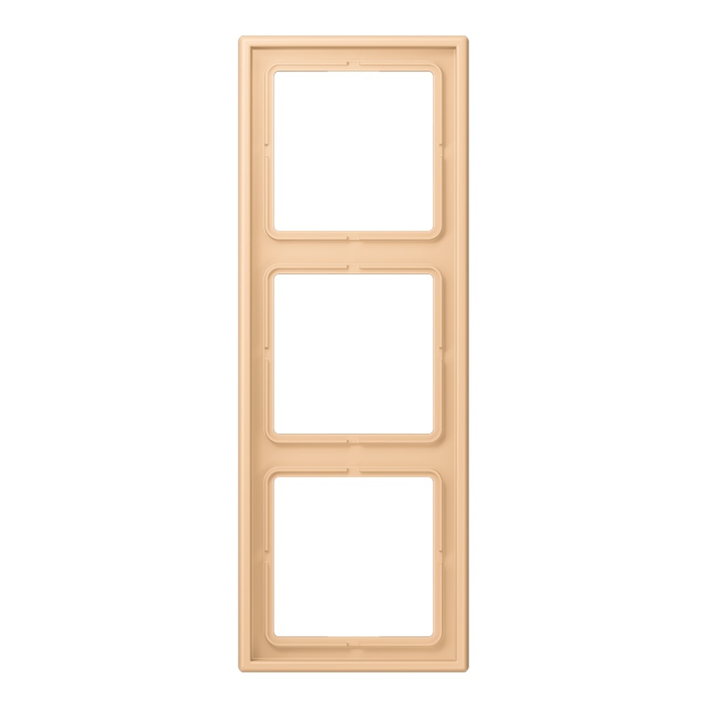 Jung Rahmen LC983237