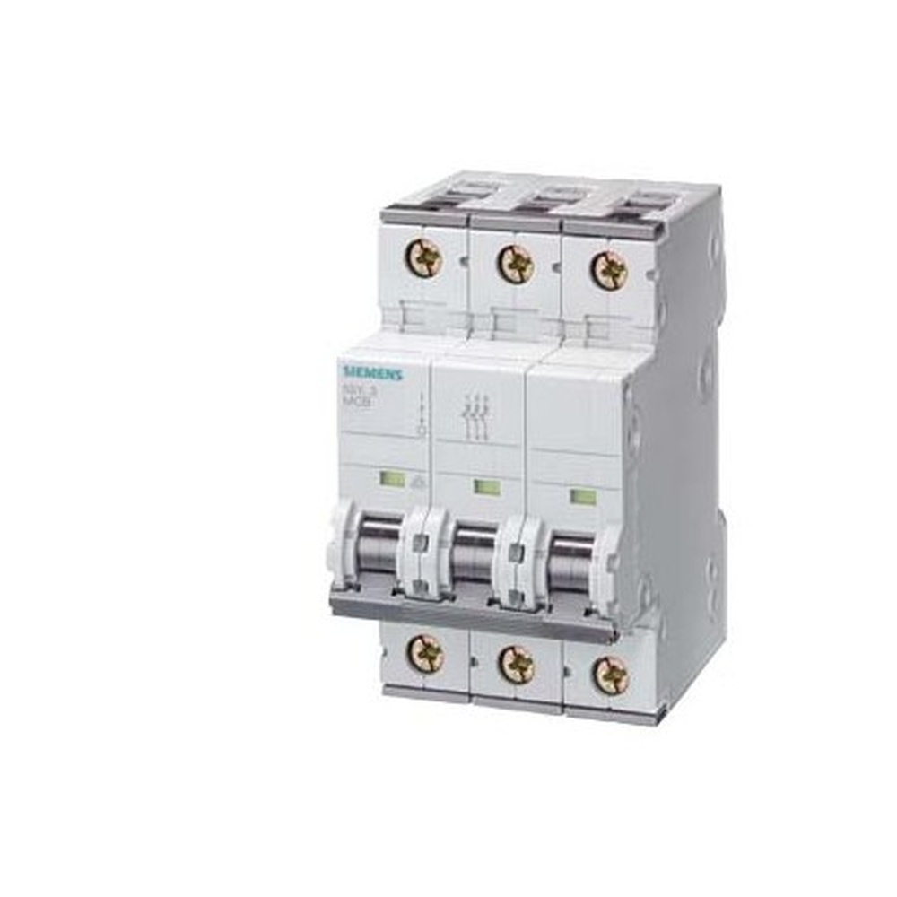 Siemens Leitungsschutzschalter 5SY7313-6