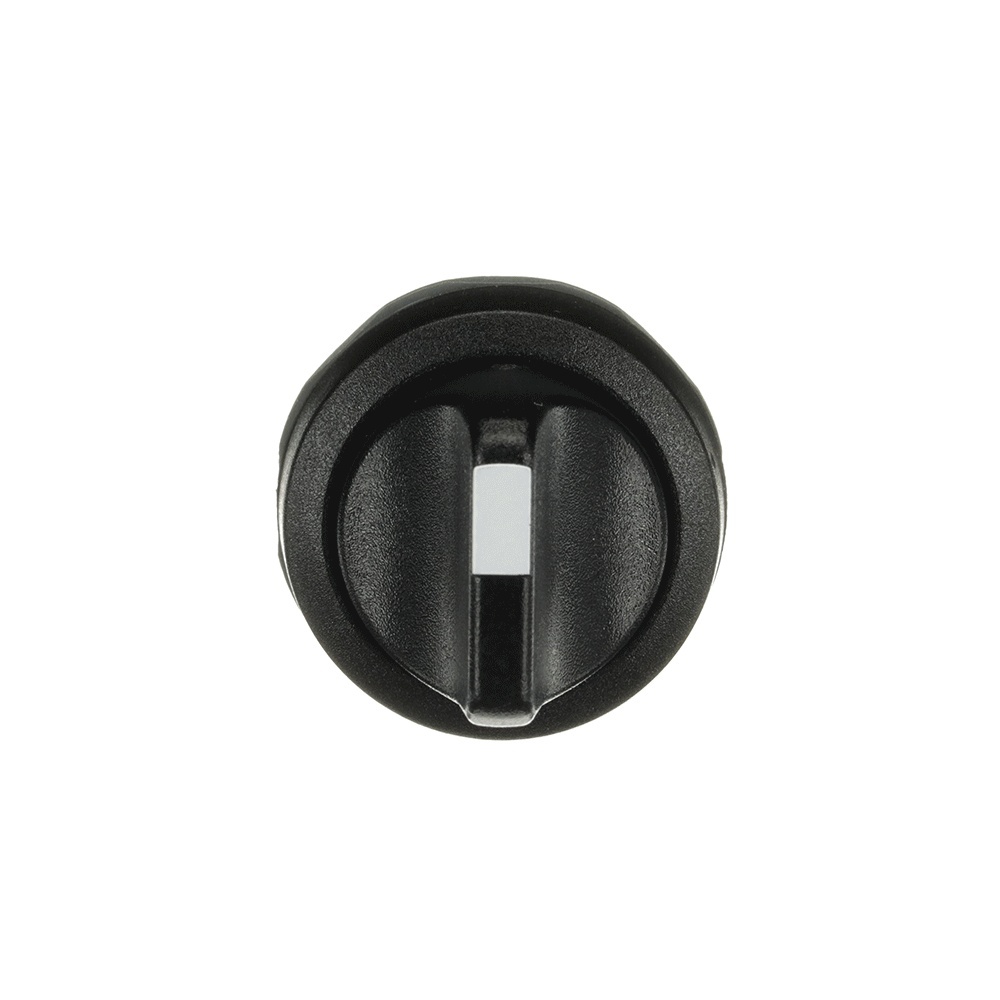 ABB Frontelement für Wahlschalter 1SFA611201R1006 Typ M2SS2-10B