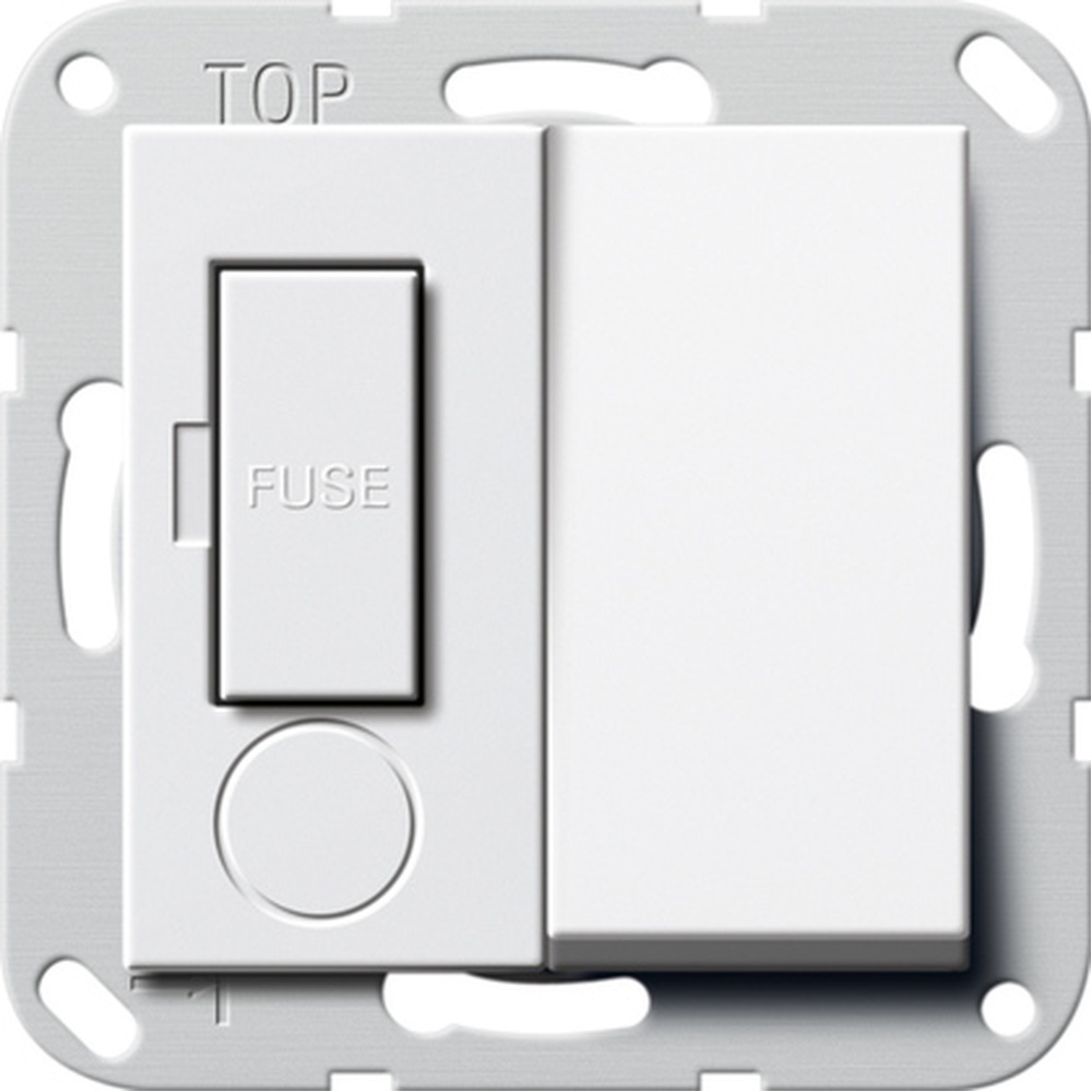 Gira Fused outlet Kontroll 278503