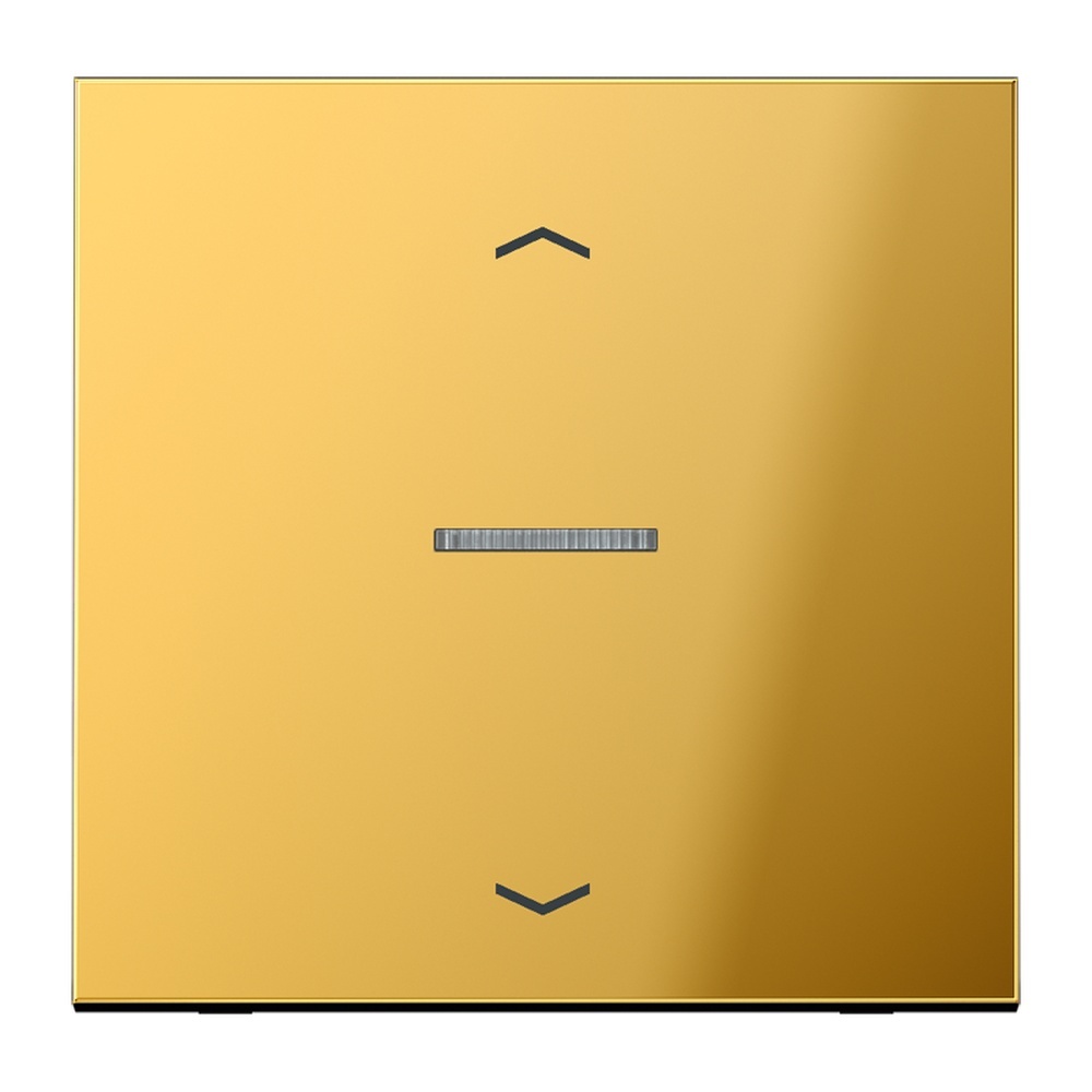 Jung Funk Steuertaste Standard FMGO1700P