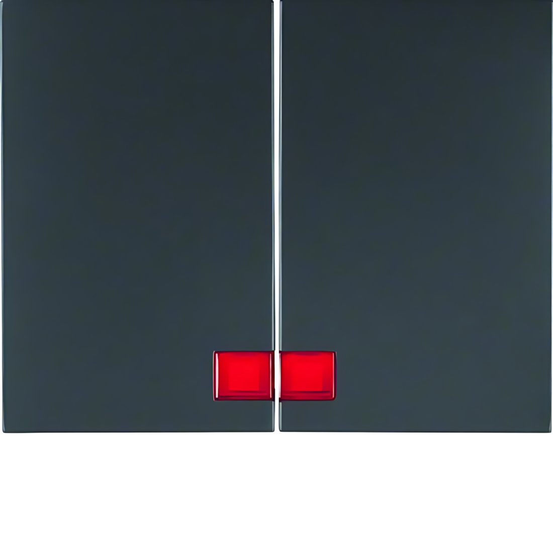 Berker Wippen 14377006 Berker Wippen 14377006