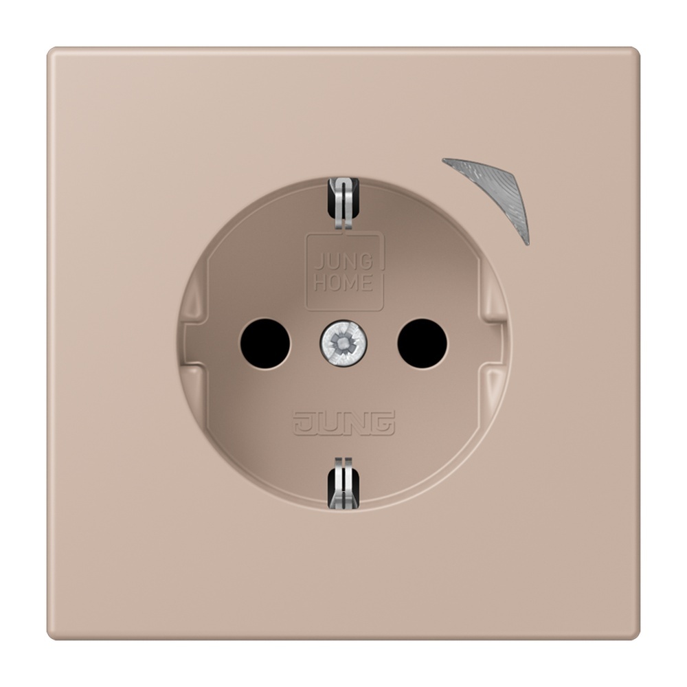 Jung JUNG HOME SCHUKO Steckdose BTLC1521SE240