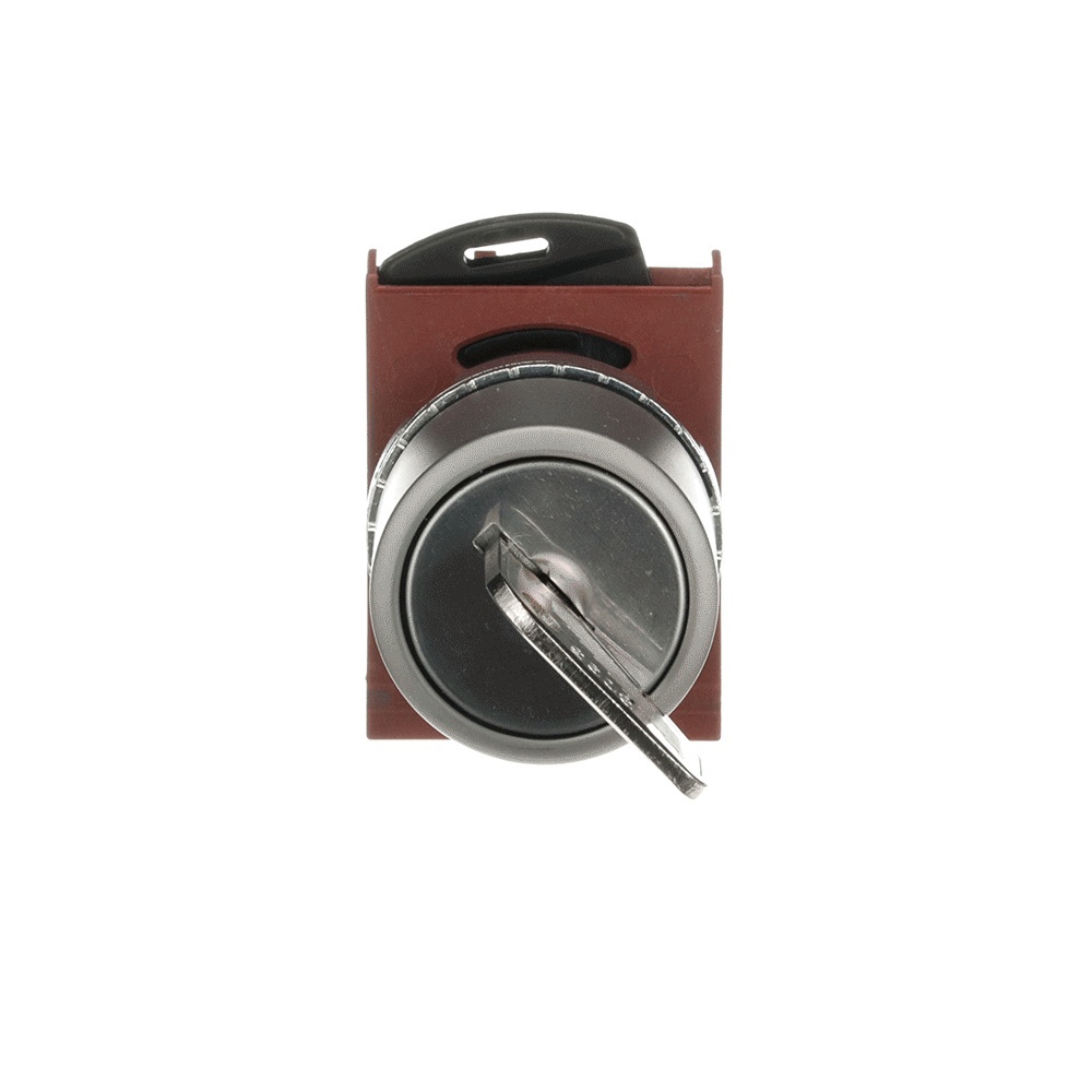 ABB Frontelement für Wahlschalter 1SFA184401R9006 Typ P9MSCD0E95