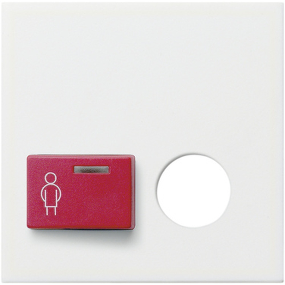 Gira Abdeckung Ackermann 023203