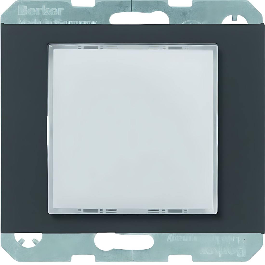 Berker LED Signallicht 29537006