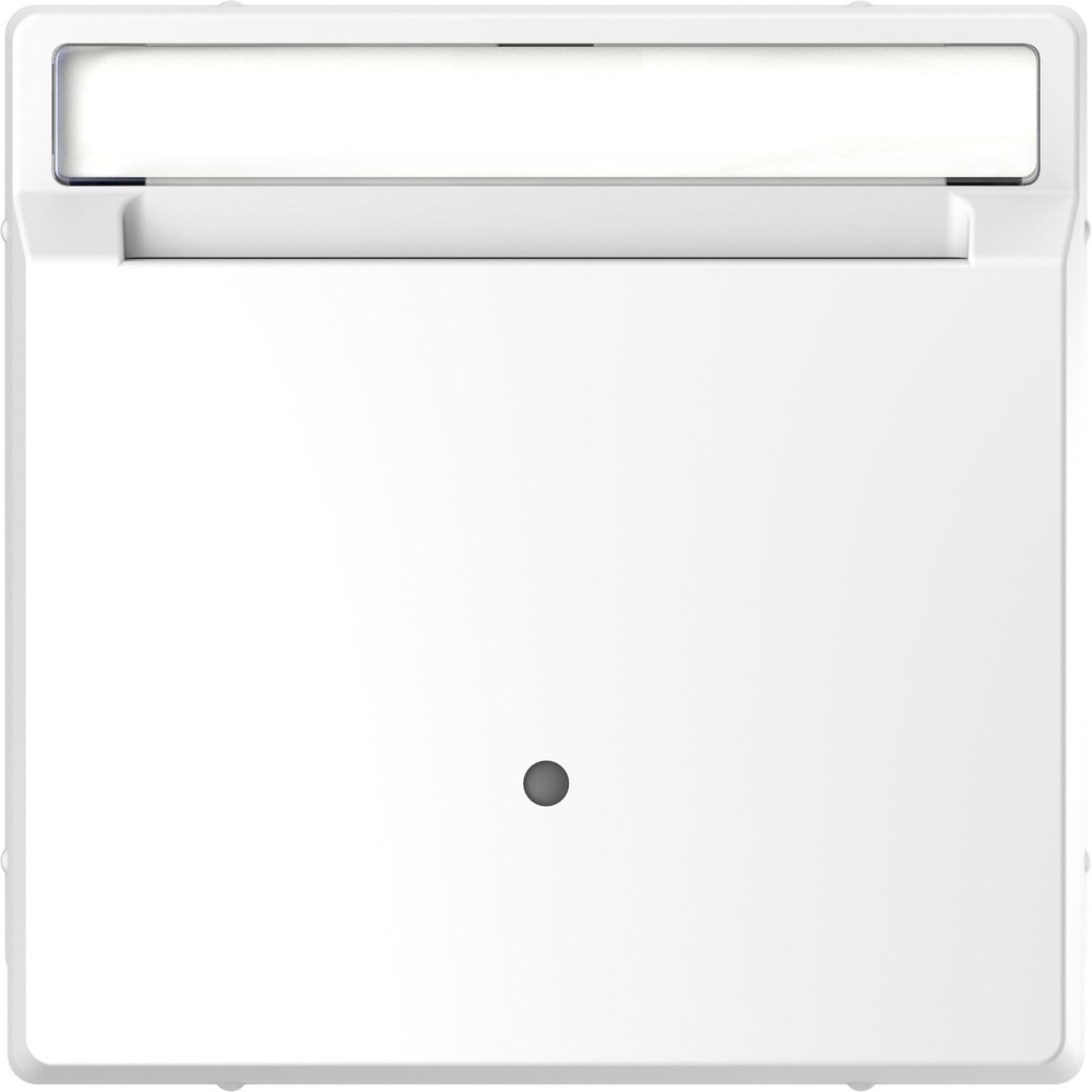 Merten Card-Schalter MEG3854-6035