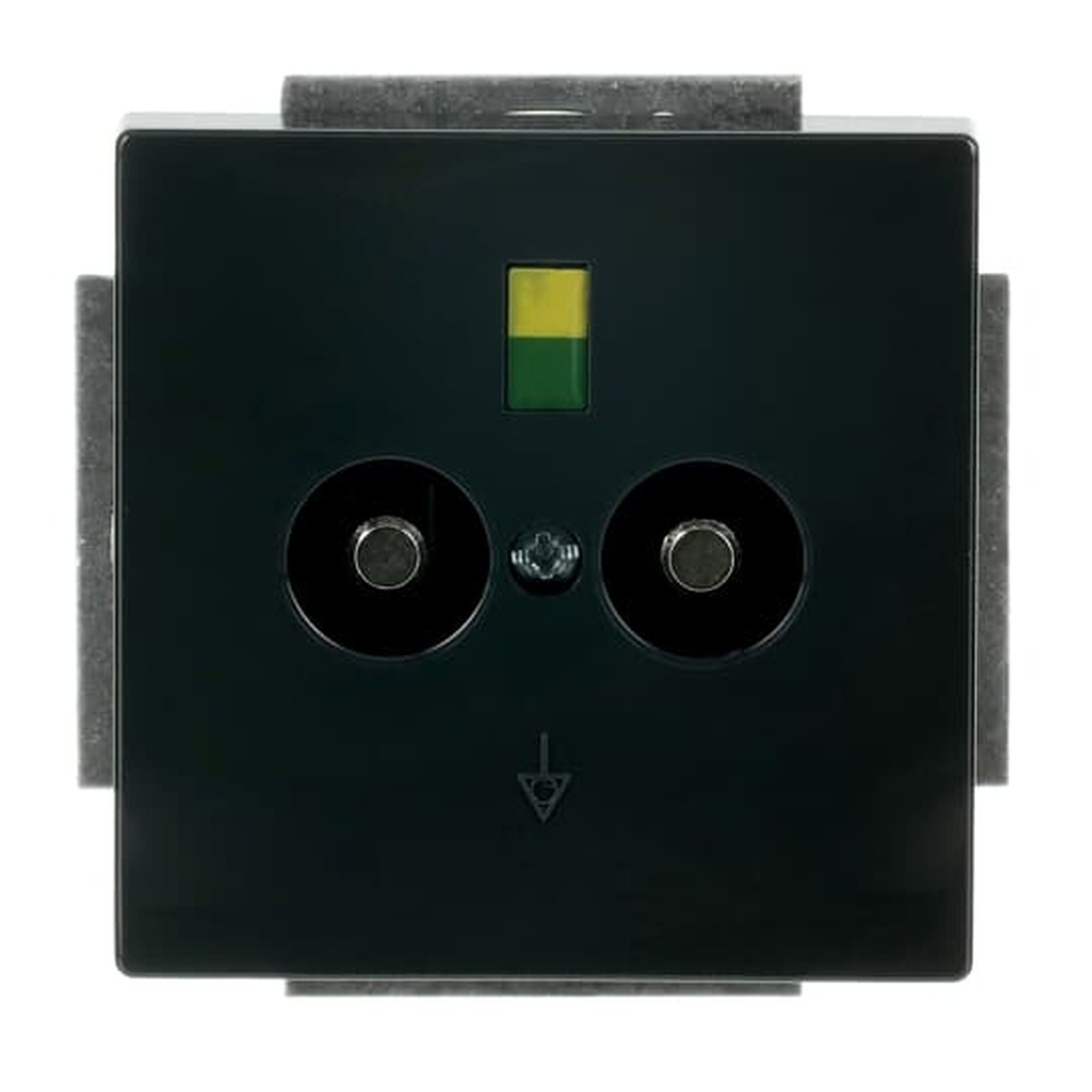 Busch-Jaeger Unterputz Potenzial Ausgleichsstecker 2095 UC-81 Nr. 2CKA002495A0084