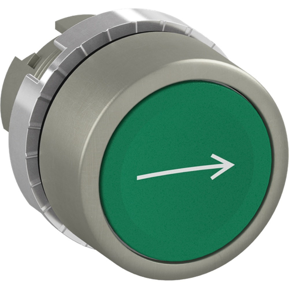 ABB Frontelement für Drucktaster 1SFA187118R9502 Typ P9MPNVG006