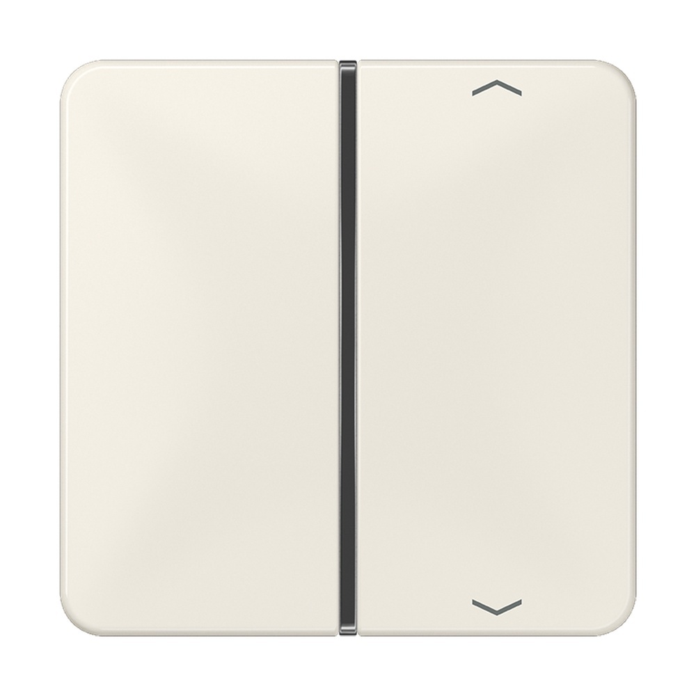 Jung Taste 1fach CD 401 TSAP Jung Taste 1fach CD 401 TSAP