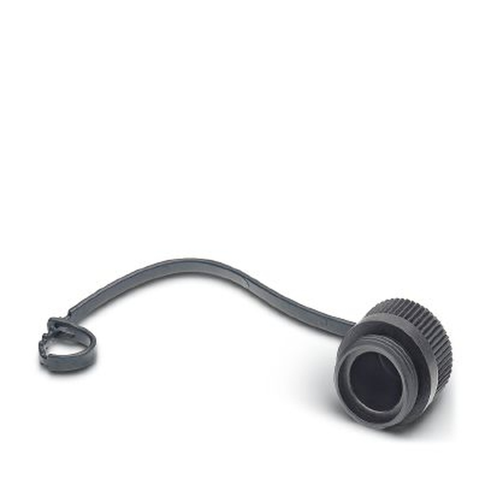 Phoenix Contact Verschlussschraube 1430925 Typ PROT-MINMS-PA-CHAIN