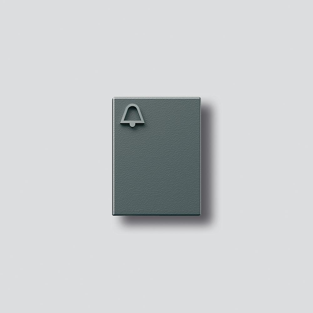 Siedle Klingeltaste 200029943-00 Typ TM 612-3/BTM 650-03 DG