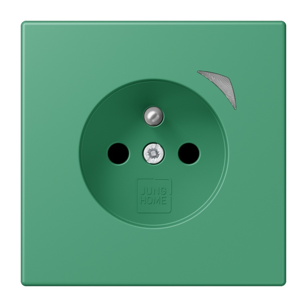 Jung Steckdose BTLC1521FSE250