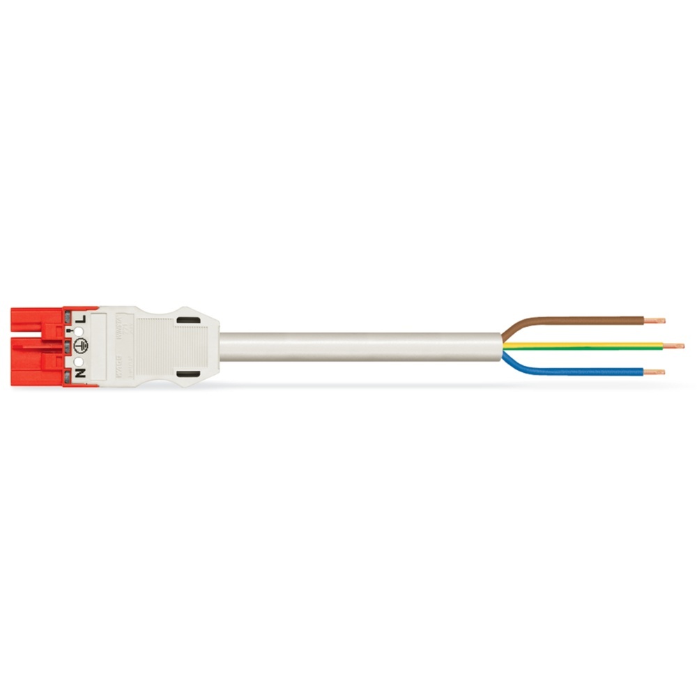 Wago Anschlussleitung 771-9973/217-702