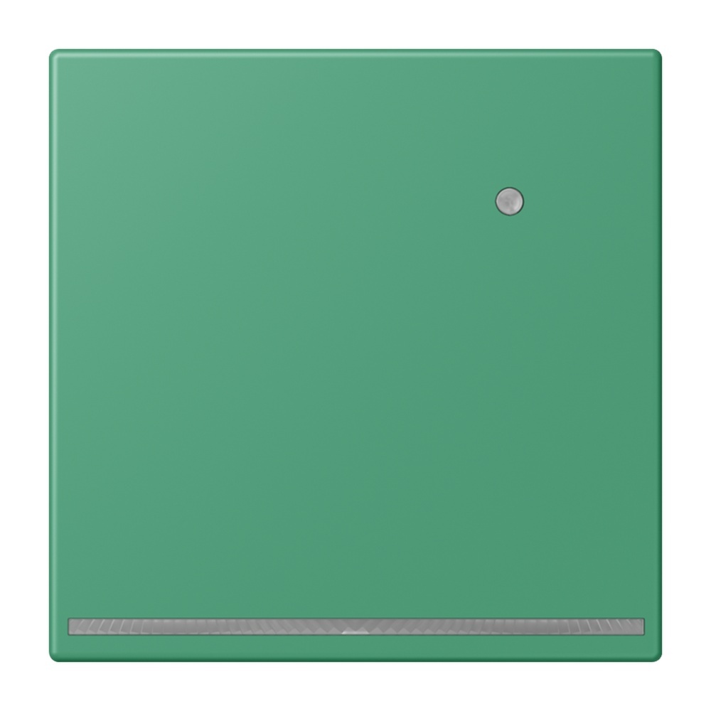 Jung LED Orientierungslicht LC1539-OLNW250