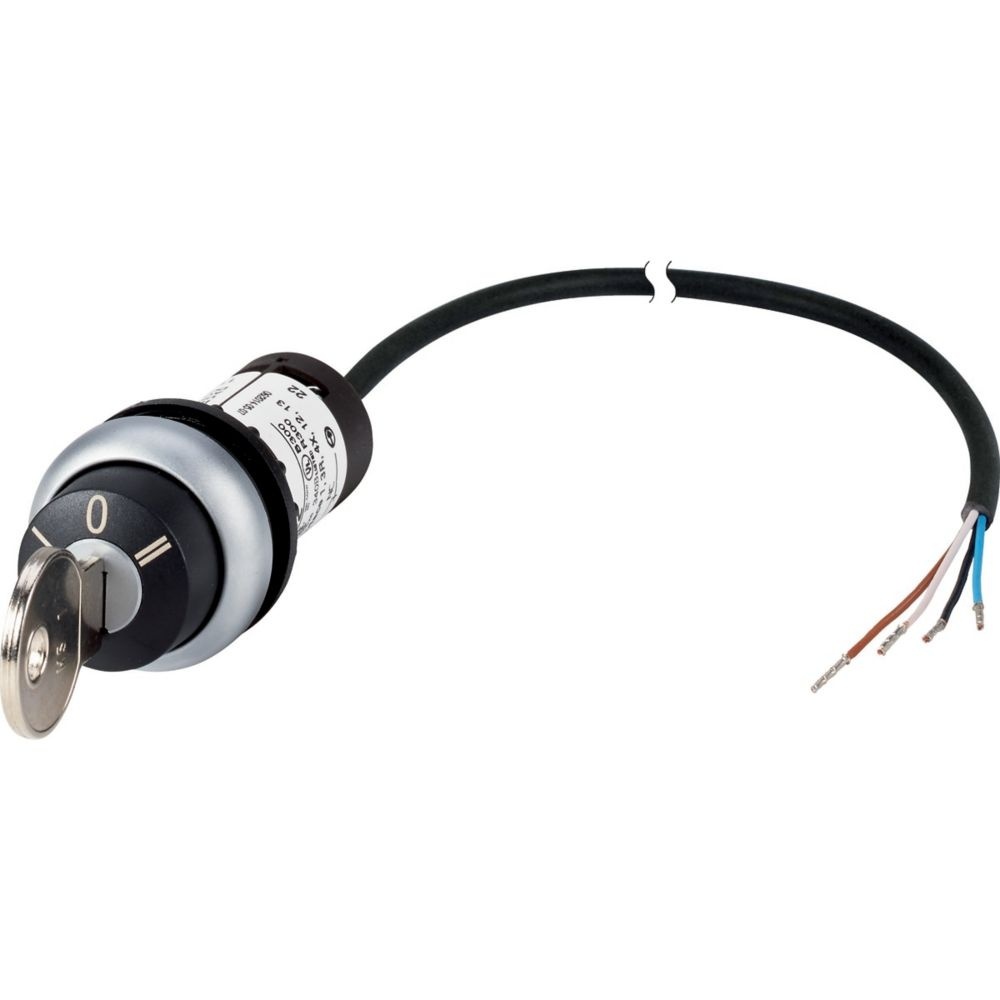 Eaton Schlüsseltaste 186269 Typ C22-WRS3-MS1-K20-P62