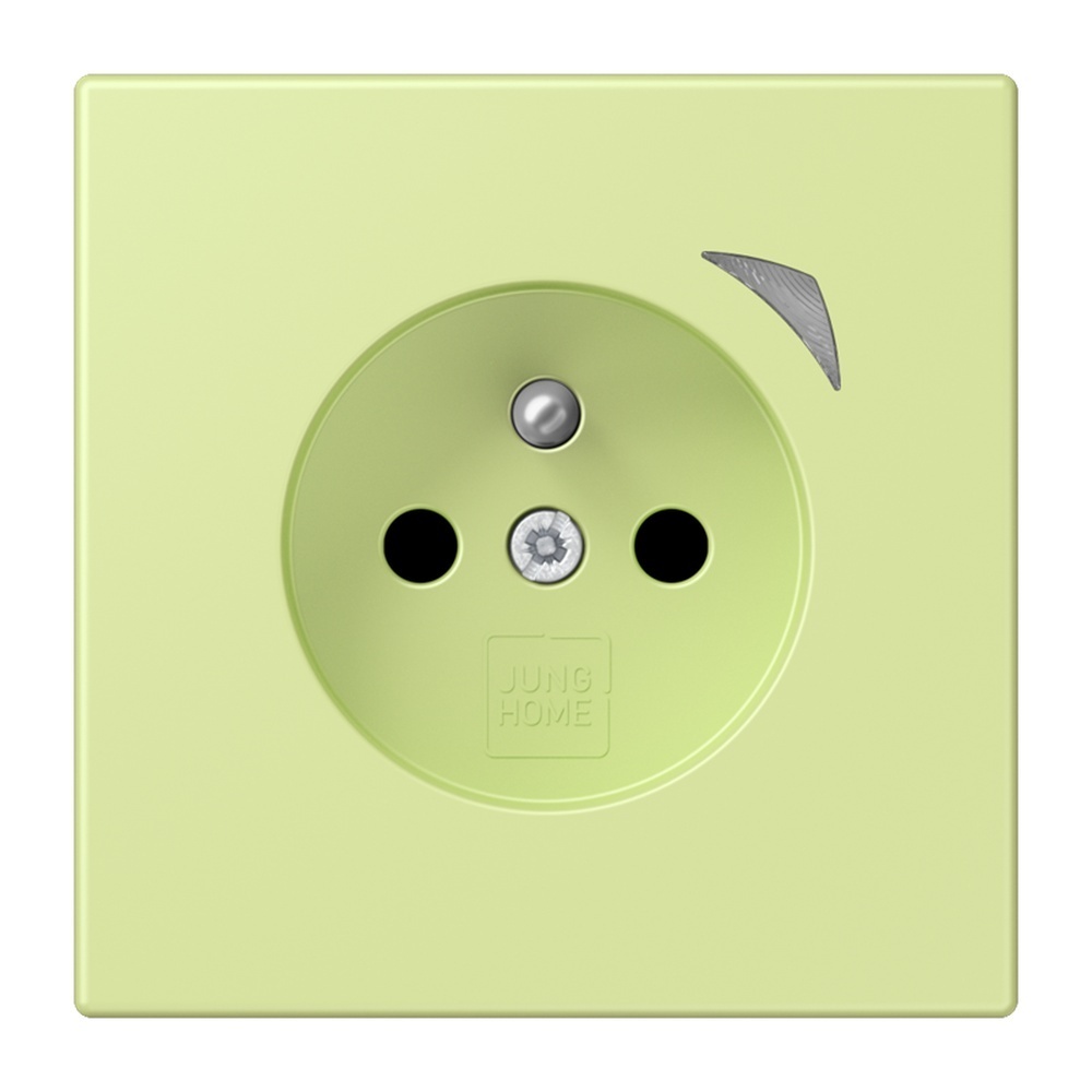 Jung Steckdose BTLC1521FS222