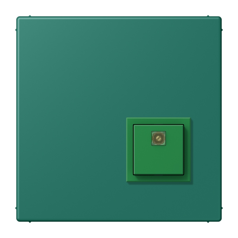 Jung Notrufsystem Abstelltaster NRSLC0834AT216