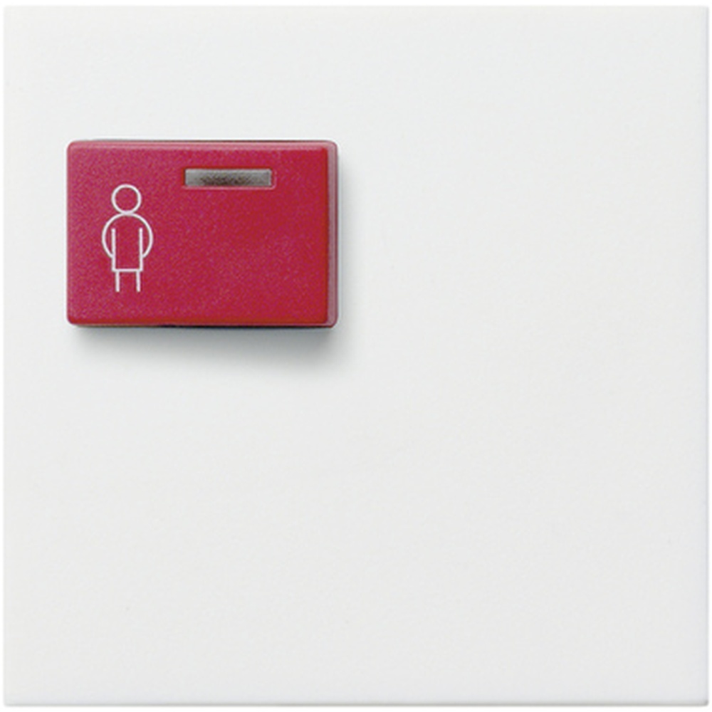 Gira Abdeckung Ackermann 022627