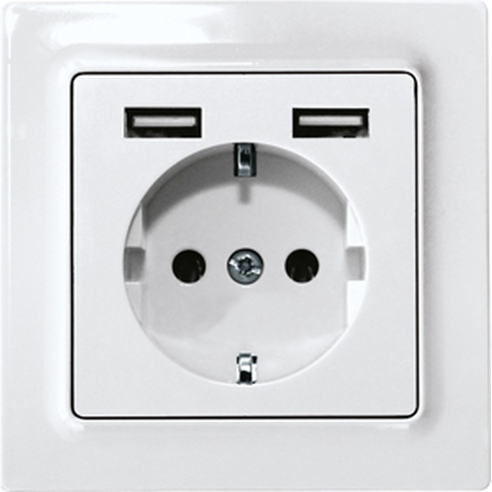 ELTAKO Schutzkontakt Steckdose 30055896 Typ DSS55E+2xUSBA-wg