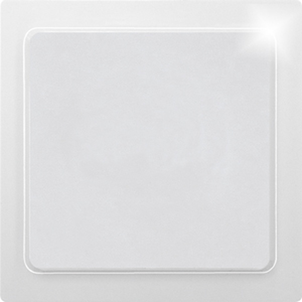 ELTAKO Blindabdeckung 30055643 Typ BLA55E-pm