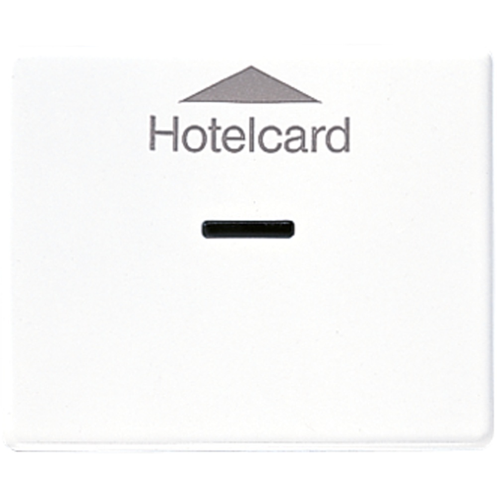 Jung Hotelcard Schalter SL590CARDWW