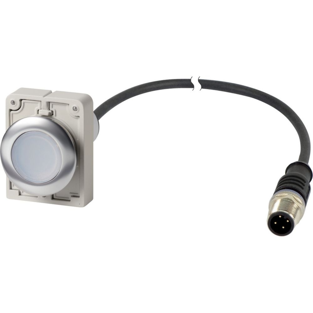 Eaton Leuchtdrucktaste 186007 Typ C30C-FDRL-W-K10-24-P5