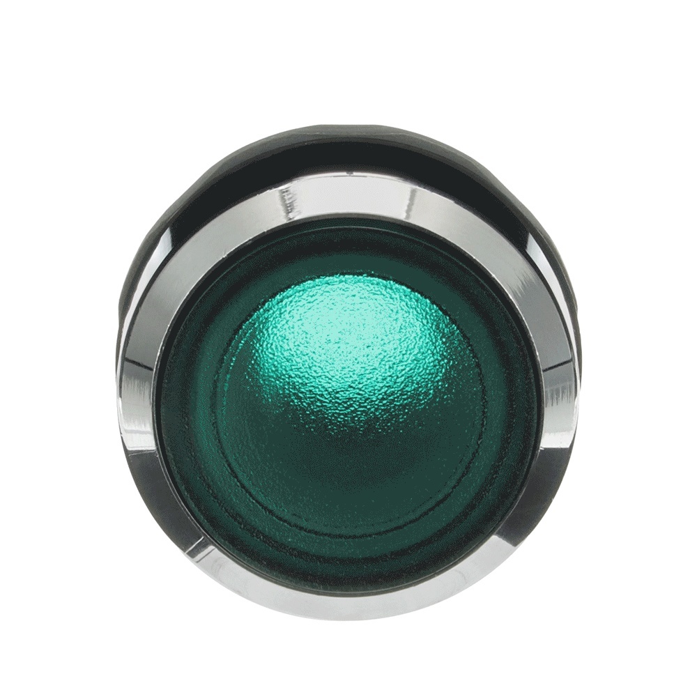 ABB Frontelement für Drucktaster 1SFA611101R3102 Typ MP2-31G