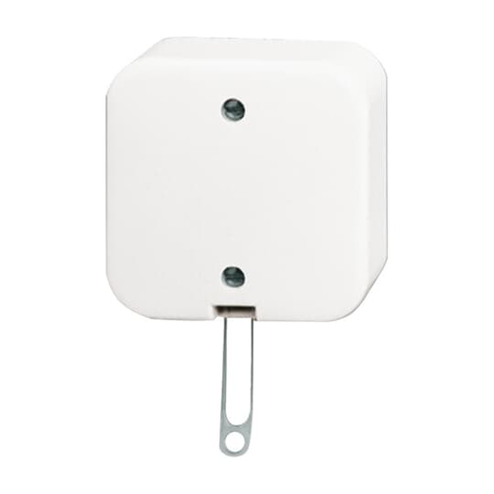 Busch-Jaeger Zugschalter 2610/6 APW Nr. 2CKA001343A0146