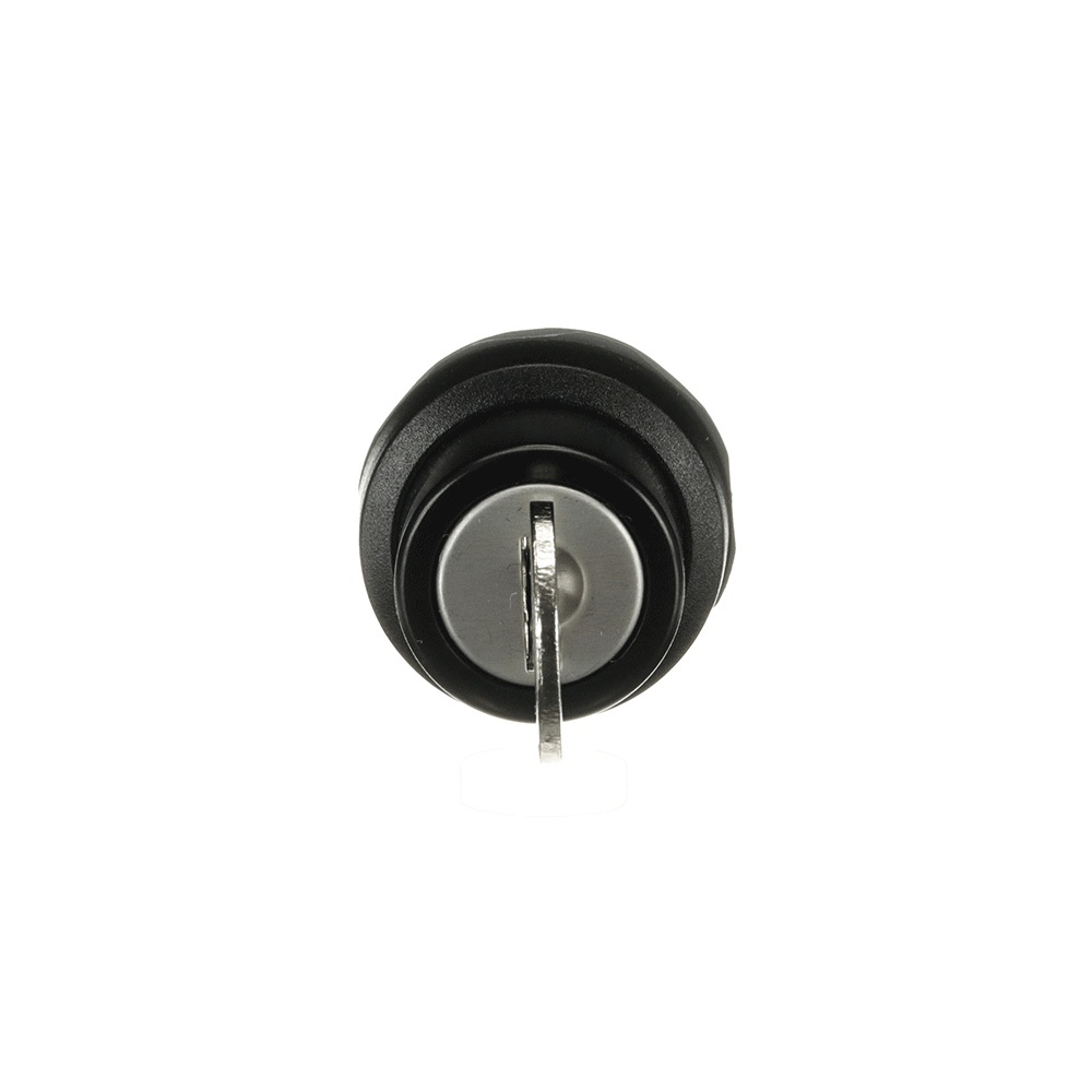 ABB Frontelement für Wahlschalter 1SFA611281R1001 Typ M2SSK2-101