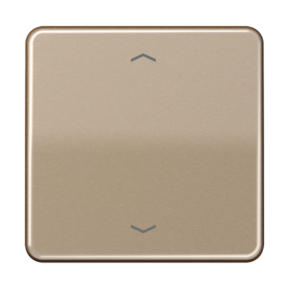 Jung Steuertaste CD1700PGB