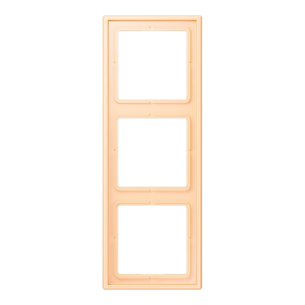 Jung Rahmen LC983223