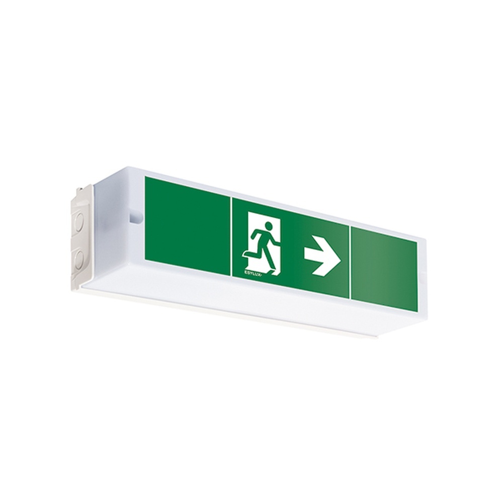 Esylux Notleuchte EN10017513 Typ SLA EL FLP 3h 14m IR SC SM