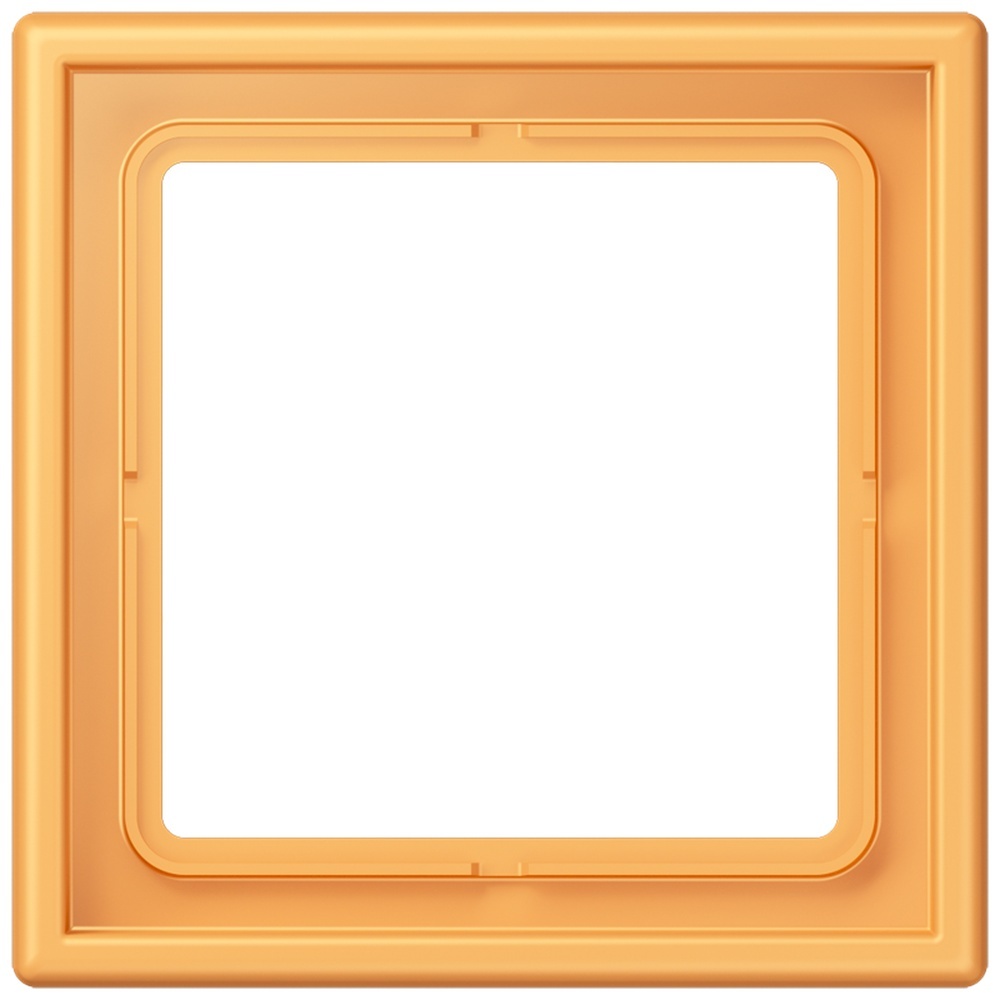 Jung Rahmen LC981254