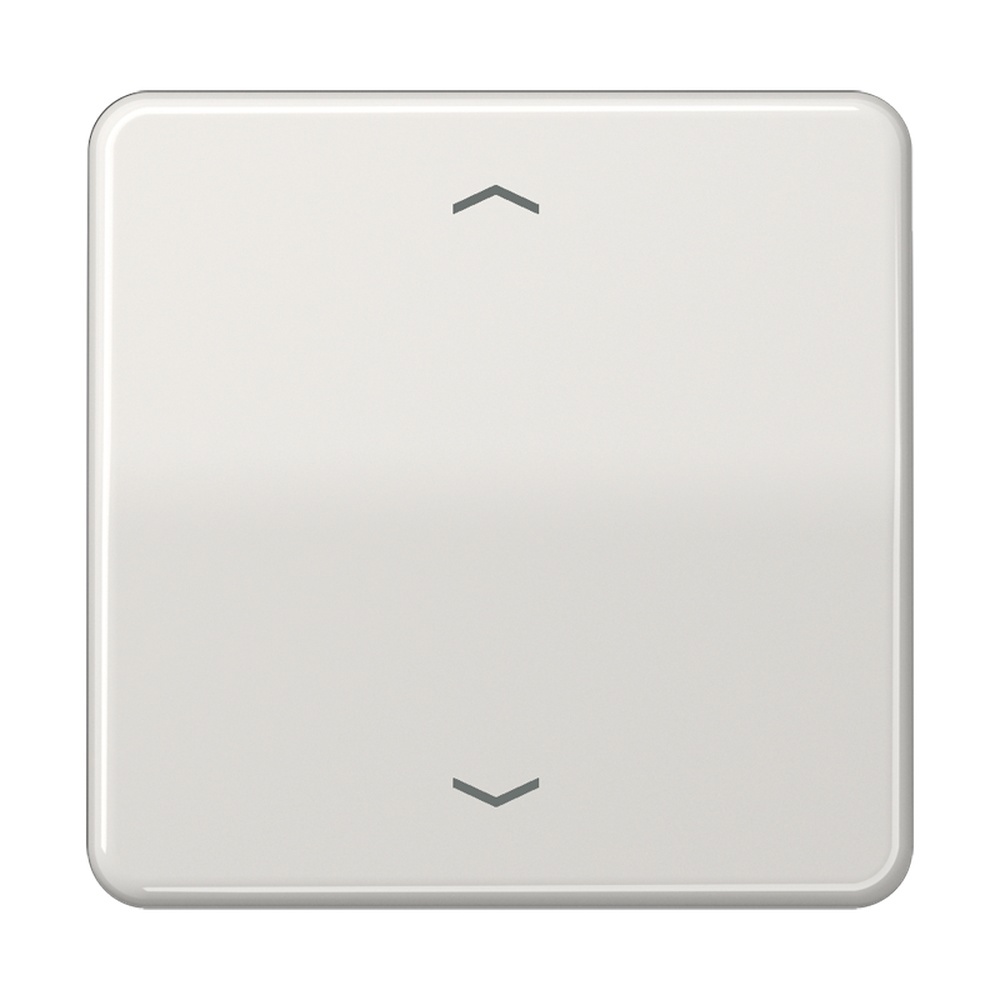 Jung Steuertaste CD1700PLG