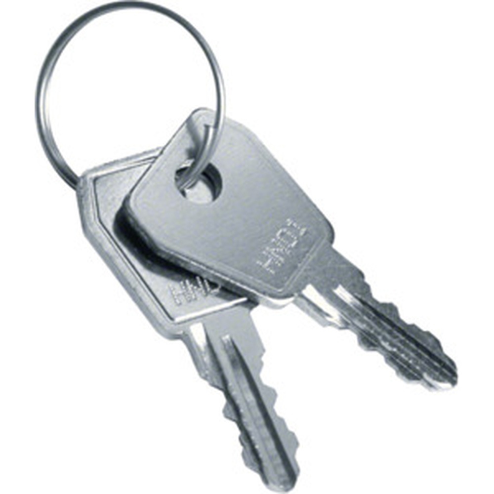 Hager Volta Ersatzschlüssel VZ304N01 Hager Volta Ersatzschlüssel VZ304N01