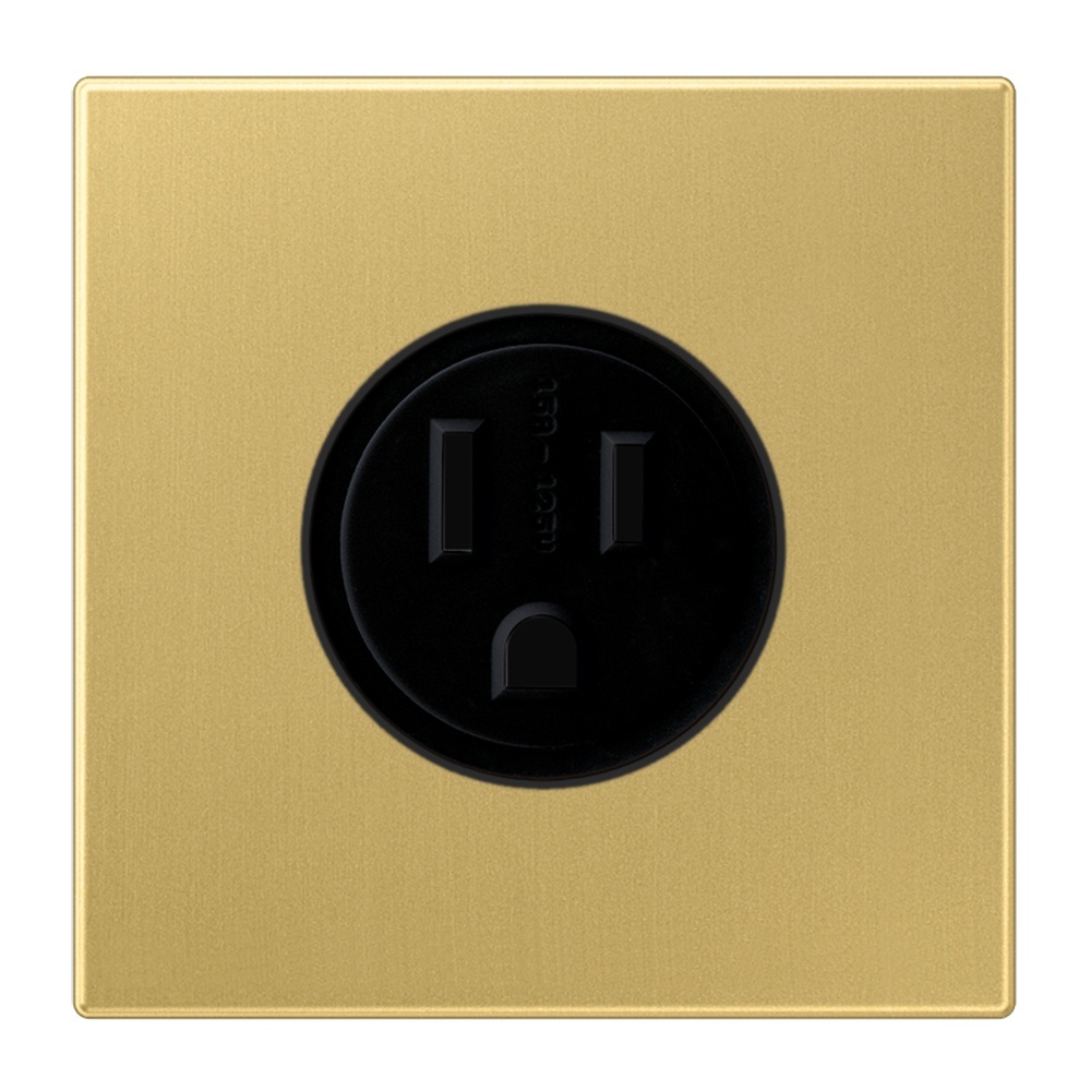 Jung Nema Steckdose ME 2521-15 C