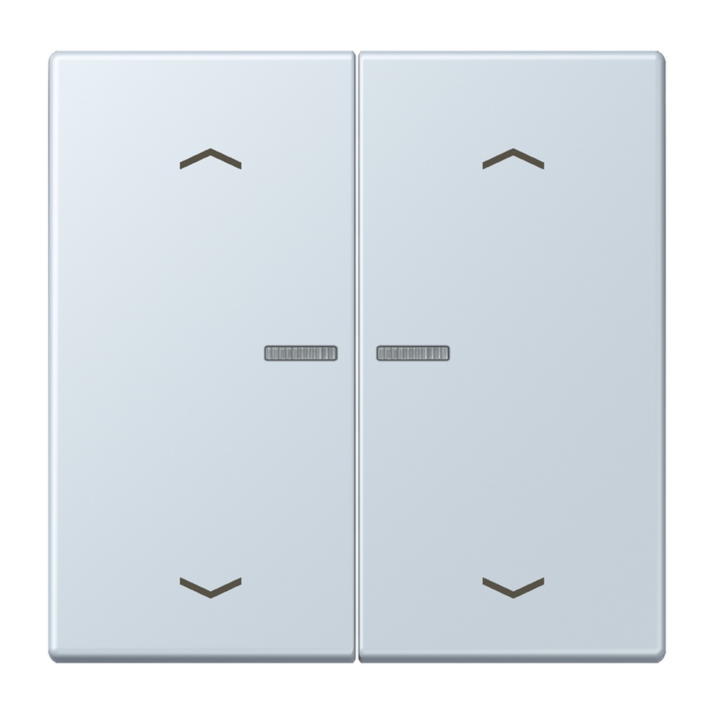 Jung JUNG HOME Taster BTLC17102P209