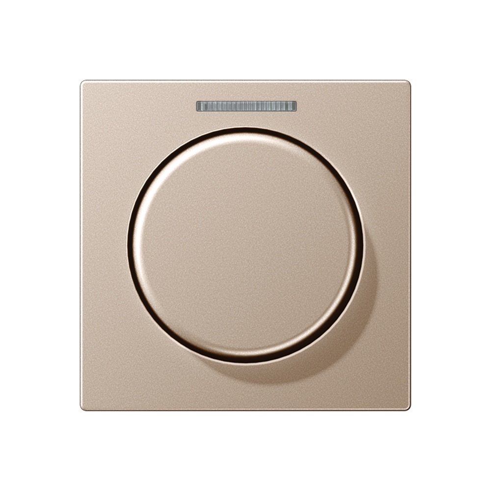 Jung Abdeckung Lichtleiter A 1540 KO5 CH