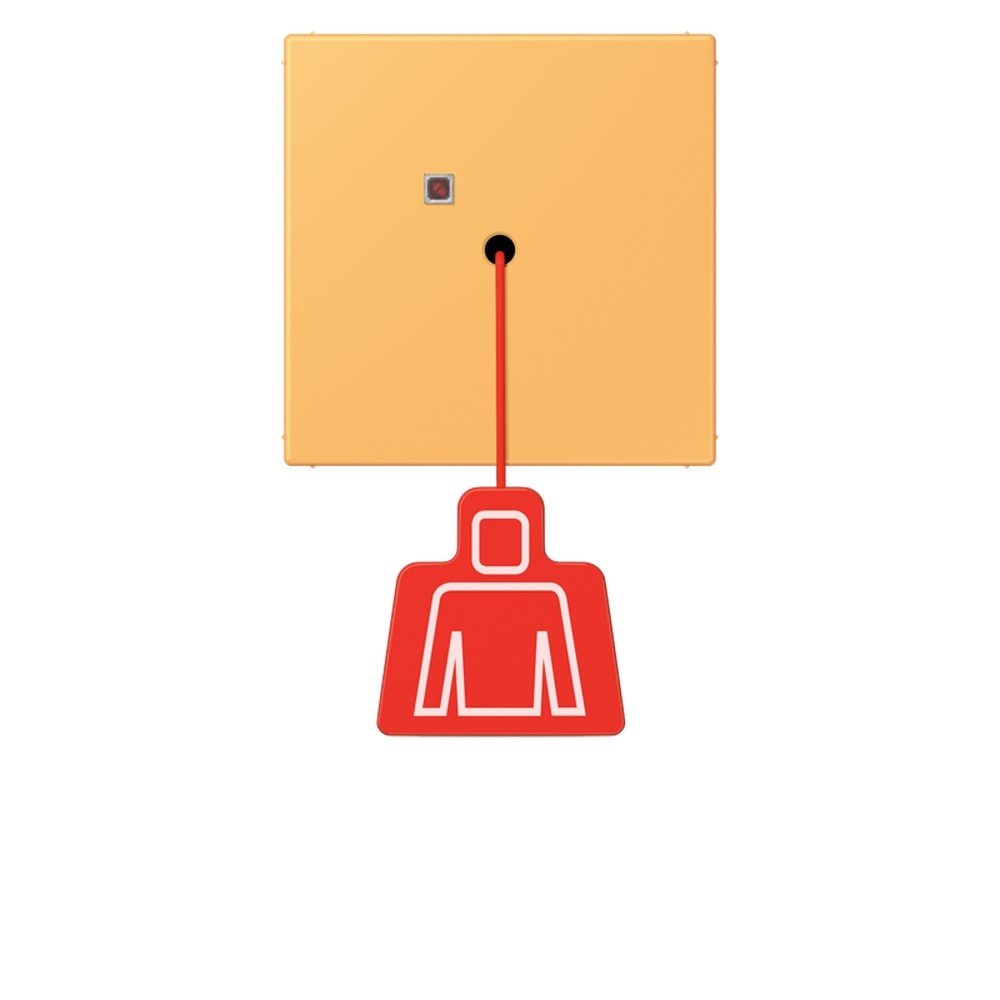 Jung Notrufsystem Zugtaster NRSLC0834ZT254