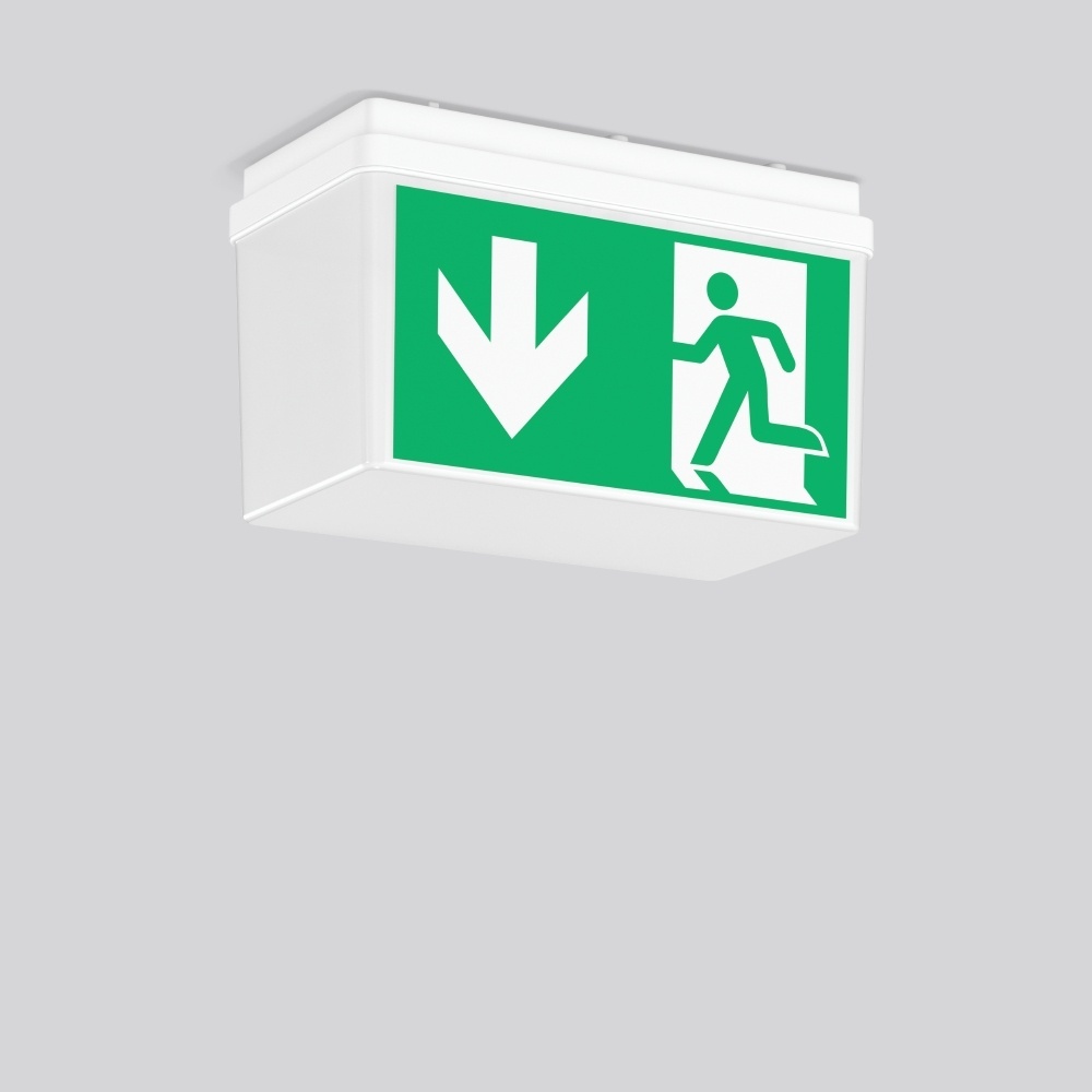 RZB Rettungsleuchte 652520.002