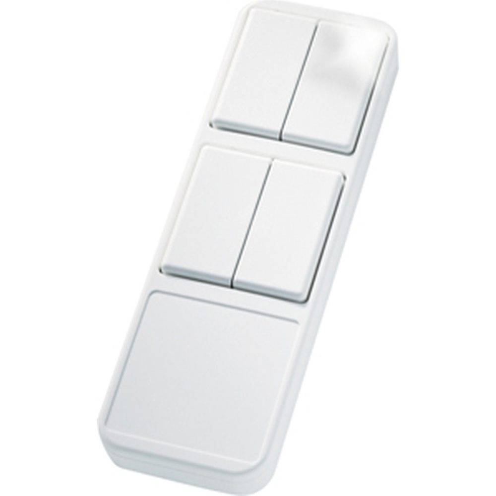 ELTAKO Funk Handsender 30000206 Typ FHS8B-wg