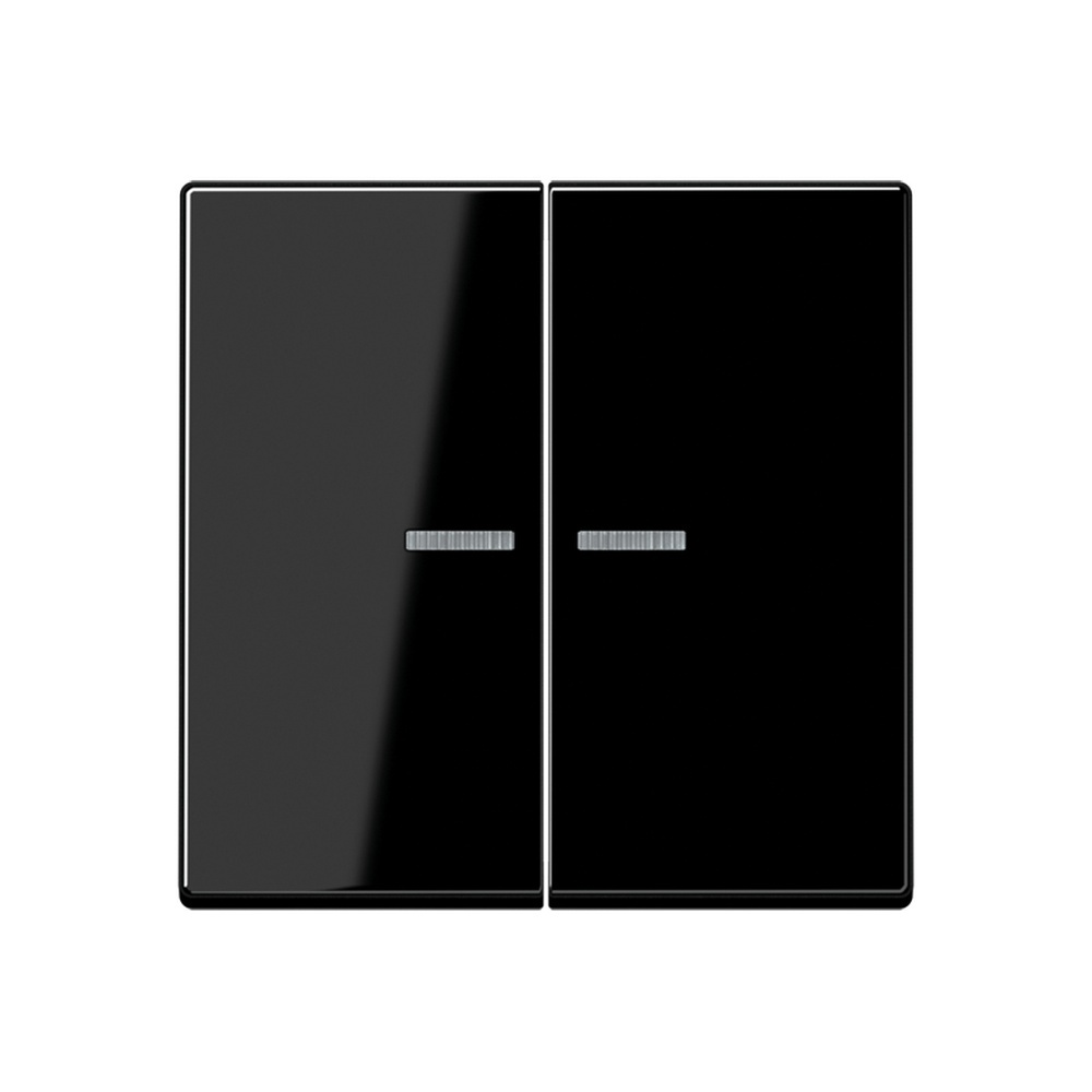 Jung KNX RF Taster 2fach A10921STRFBFSW