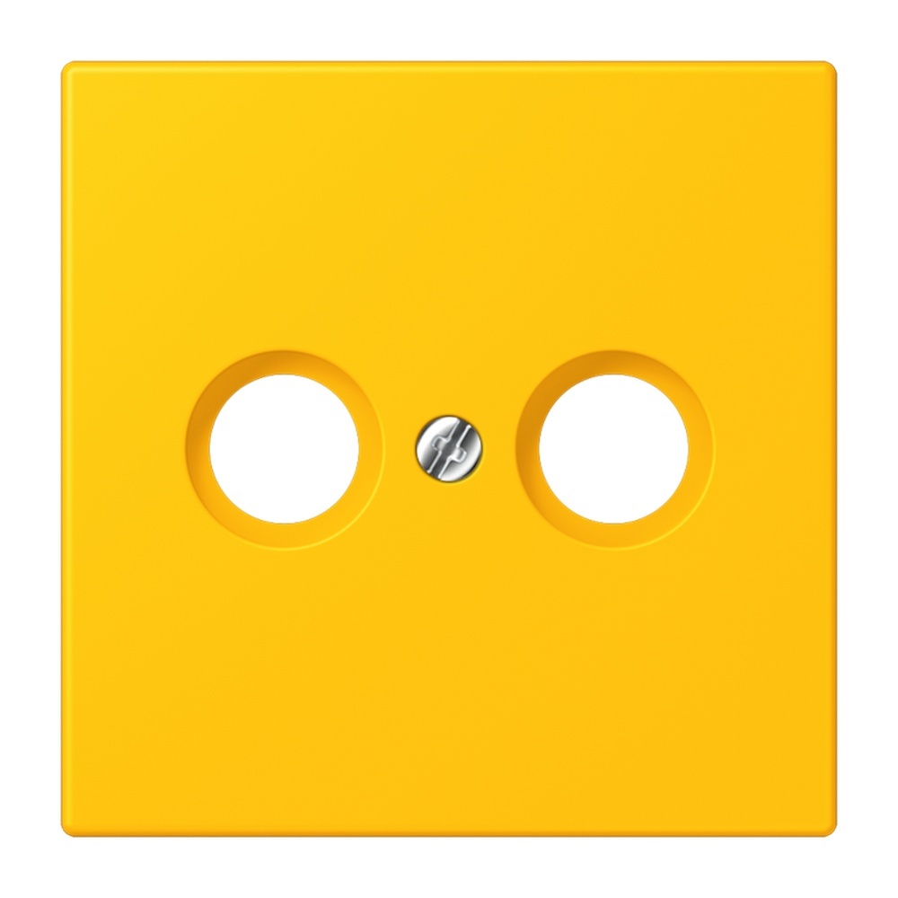 Jung Abdeckung LC990TV263