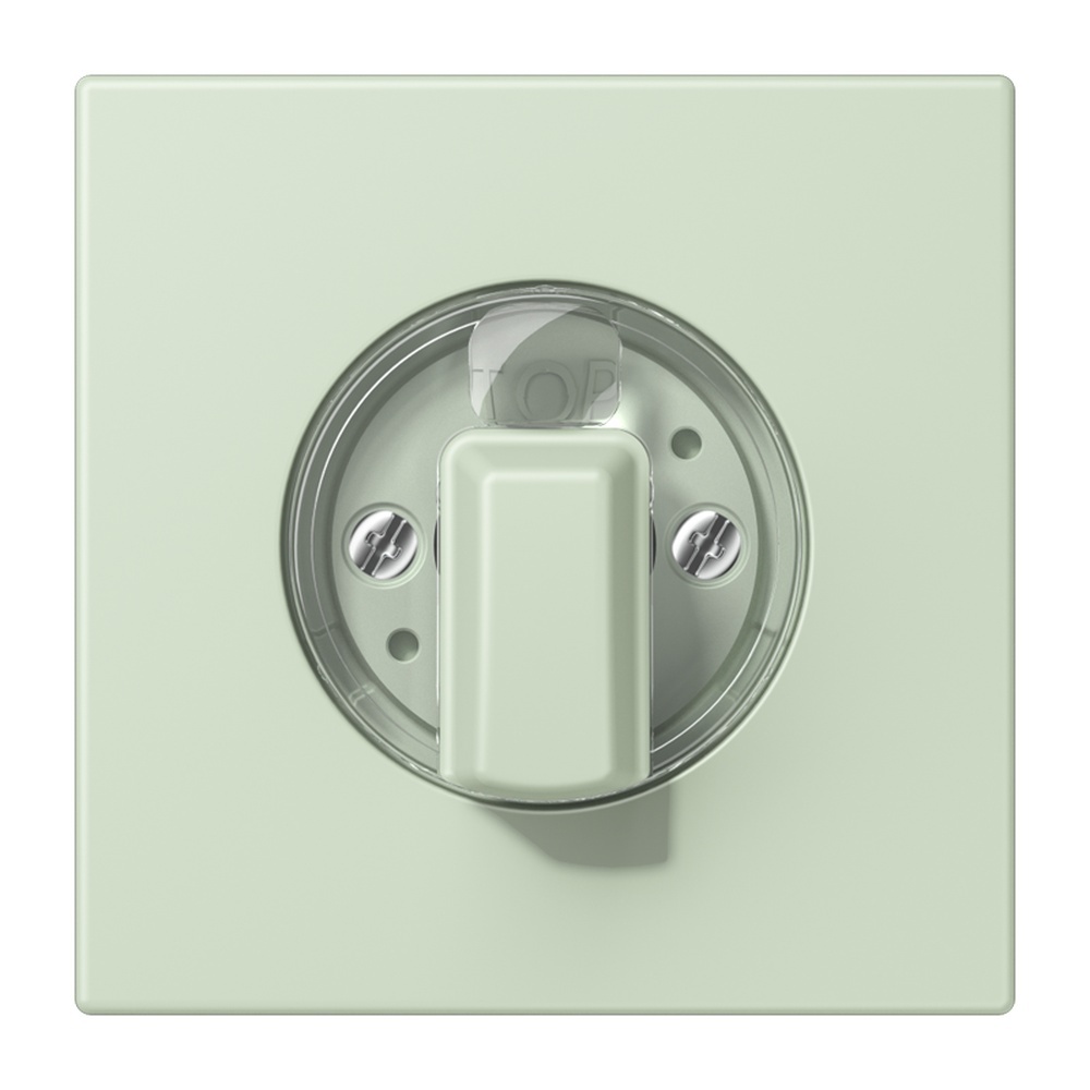 Jung Abdeckung LC1941218