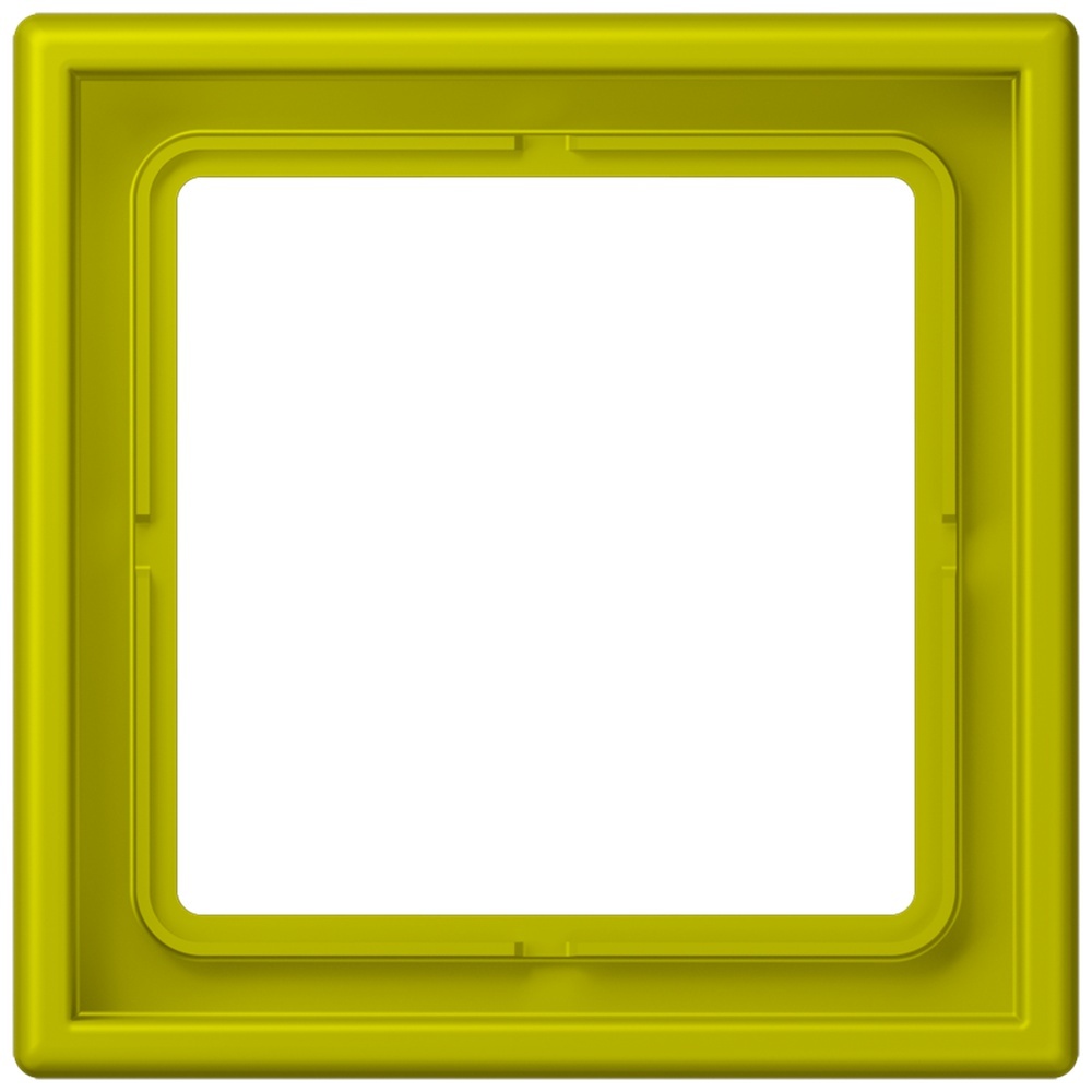 Jung Rahmen LC981249