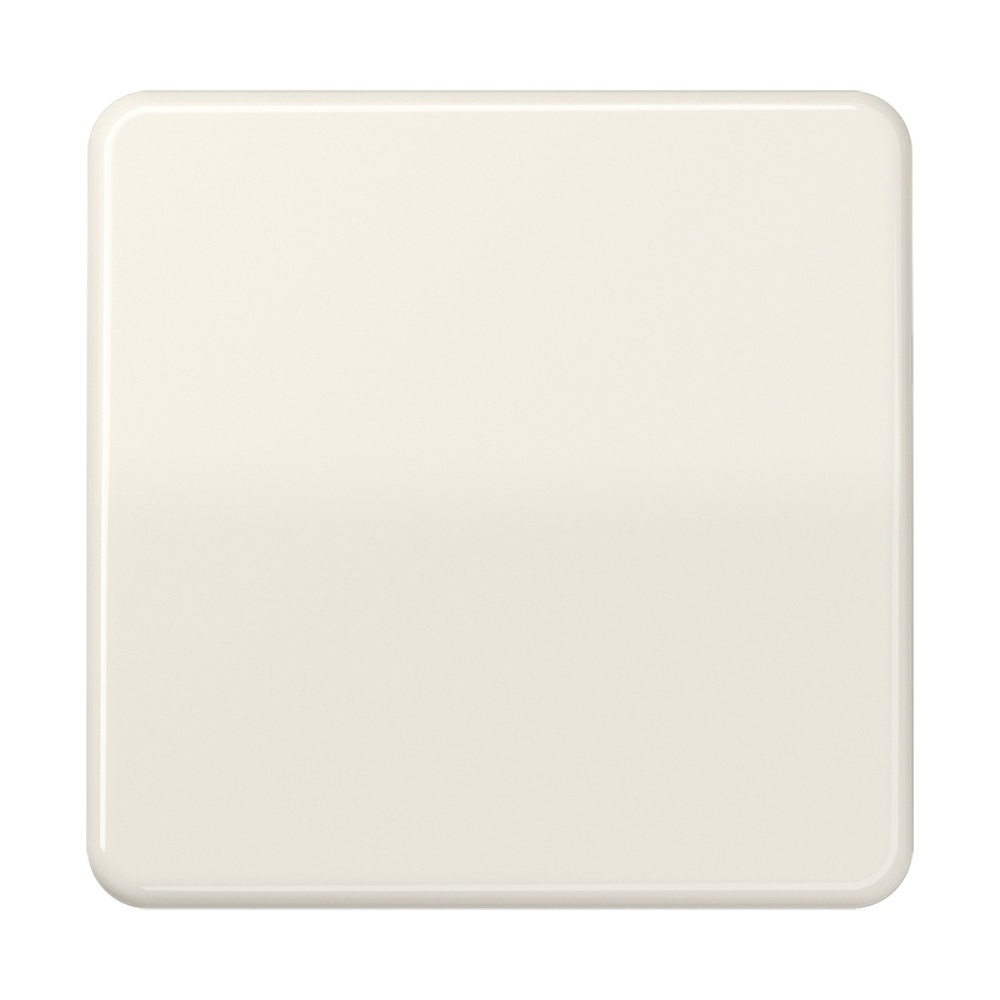 Jung Steuertaste CD1700